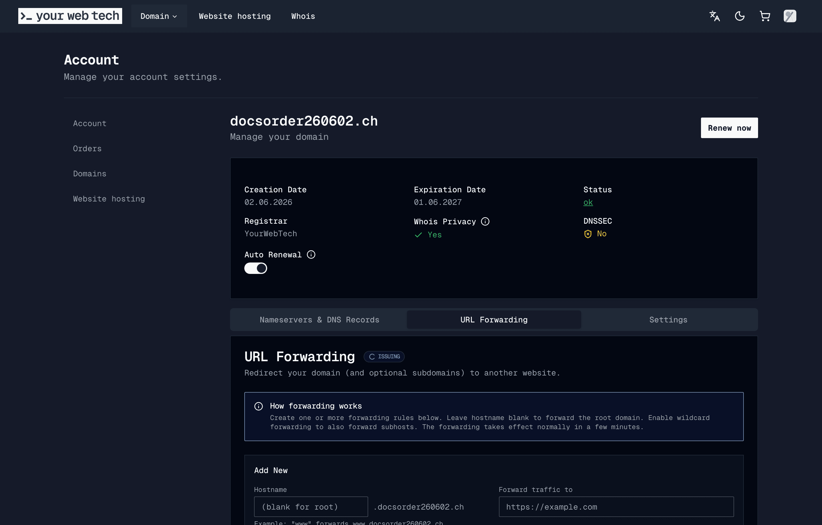 The URL forwarding tab showing a demo forwarding rule and DNS status details